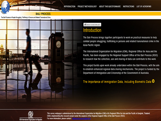 BALI Process screenshot 3 (mock)